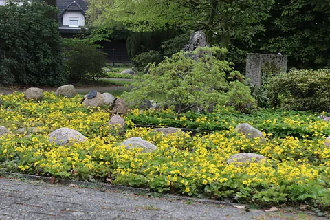 Buchengarten